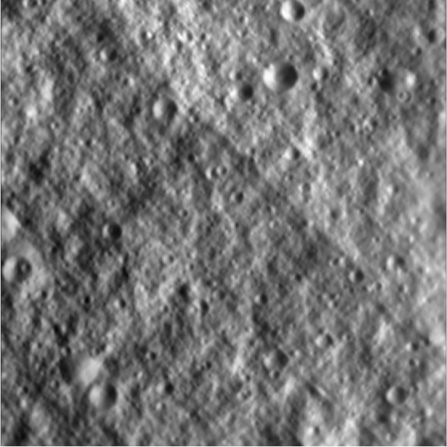MTAG15-18cmMaplets.jpg