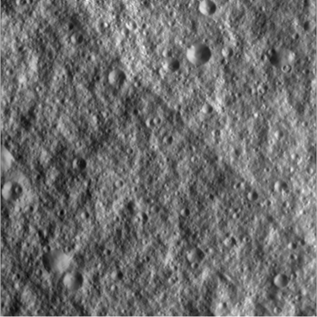 MTAG15-9cmMaplets.jpg