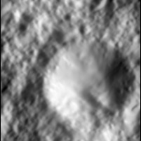 MTAG1U-0.35cmMaplets.jpg