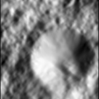 MTAG1U-0.75cmMaplets.jpg